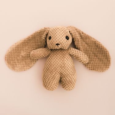 Bunny Rabbit