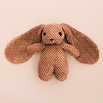 Bunny Rabbit