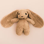 Bunny Rabbit