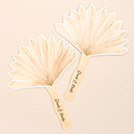 Dried Palm Fans