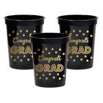Shop Graduation Party Decorations Now