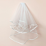 Bride to Be Veil